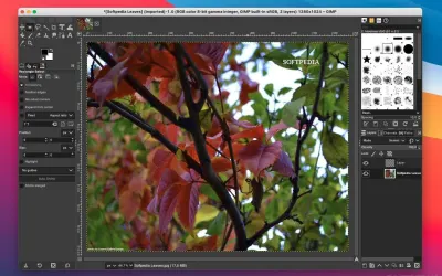 GIMP - бесплатно для macOS