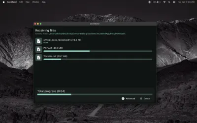 LocalSend